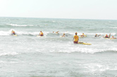 中華海浪救生總會National Chinese Surf Life Saving Association