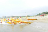 中華海浪救生總會National Chinese Surf Life Saving Association