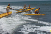 中華海浪救生總會National Chinese Surf Life Saving Association