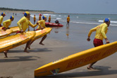 中華海浪救生總會National Chinese Surf Life Saving Association